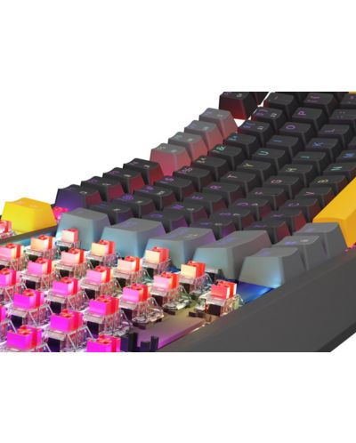 Механична клавиатура Genesis - Thor 230 TKL, Outemu Red, RGB, Anchor Gray Positive - 4