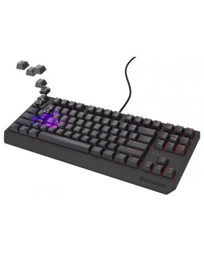 Механична клавиатура Genesis - Thor 230 TKL, Outemu Brown, RGB, черна - 3