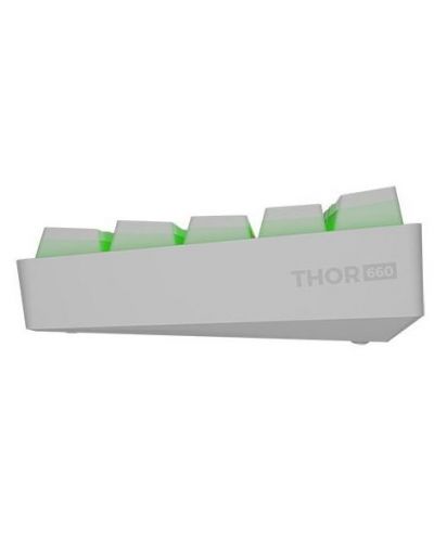 Механична клавиатура Genesis - Thor 660, безжична, Gateron Red, бяла - 3