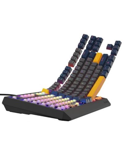 Механична клавиатура Genesis - Thor 230 TKL, Negative, Outemu Panda, RGB, черна - 6