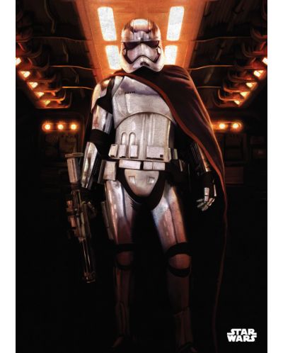 Метален постер Displate - Star Wars: Captain Phasma - 1