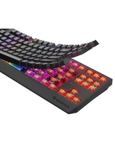 Механична клавиатура Genesis - Thor 230, TKL, Outemu Panda, RGB, безжична, черна - 2