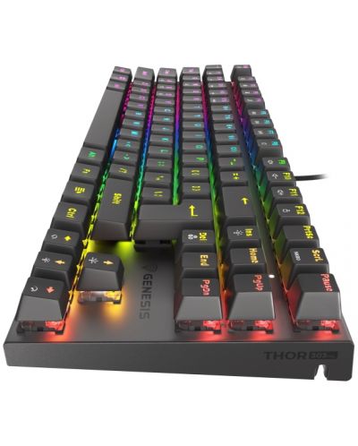 Механична клавиатура Genesis - Thor 303 TKL, Outemu Red, RGB, черна - 5
