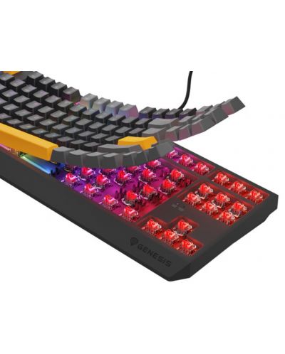 Механична клавиатура Genesis - Thor 230 TKL, Outemu Red, RGB, Anchor Gray Positive - 6