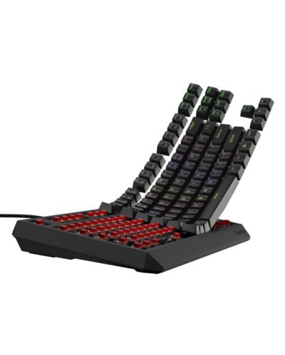 Механична клавиатура Genesis - Thor 230 TKL, Outemu Red, RGB, черна - 4