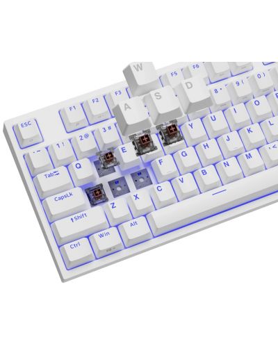 Механична клавиатура Genesis - Thor 404 TKL, Kailh box brown, RGB, бяла - 8