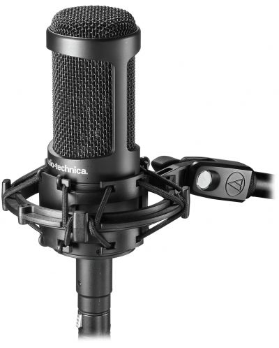 Микрофон Audio-Technica - AT2035, черен - 2