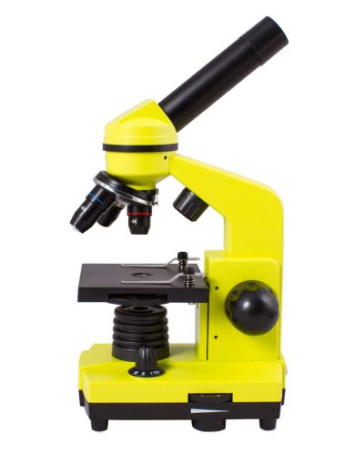 Микроскоп Levenhuk - Rainbow 2L, жълт - 2