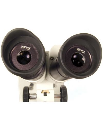 Микроскоп Levenhuk - 2ST, бинокулярен, бял - 3