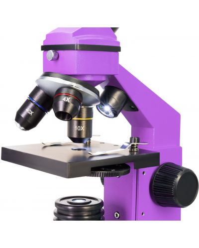 Микроскоп Levenhuk - Rainbow 2L PLUS, 64–640x, Amethyst - 6
