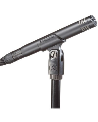 Микрофон Audio-Technica - AT2031, черен - 2