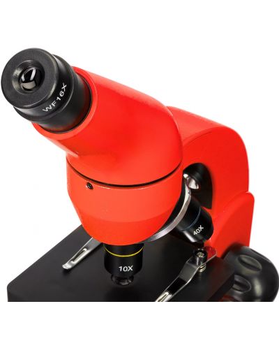 Микроскоп Levenhuk - Rainbow 50L PLUS, 64–1280x, Orange - 5