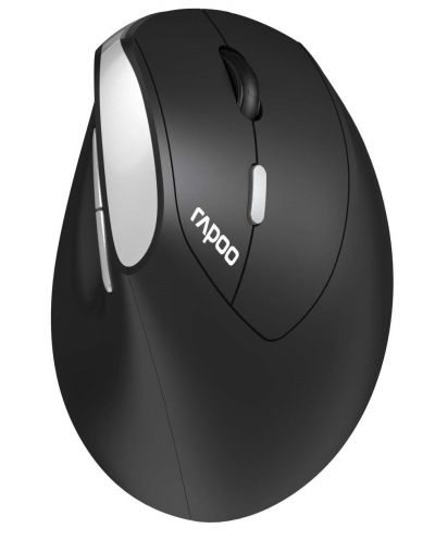 Мишка Rapoo - EV250, оптична, безжична, черна/сребриста - 1