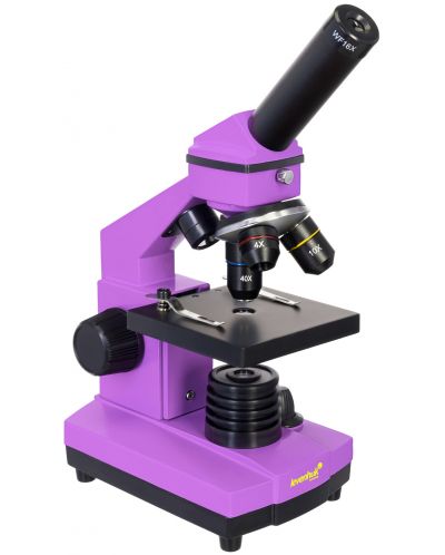 Микроскоп Levenhuk - Rainbow 2L PLUS, 64–640x, Amethyst - 2