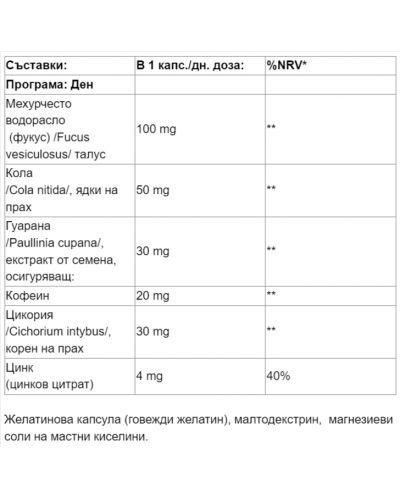 Minceur Jour Nuit Програма за оптимално телесно тегло, 60 капсули, Anaca3 - 2