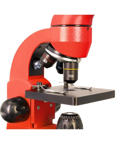 Микроскоп Levenhuk - Rainbow 50L PLUS, 64–1280x, Orange - 4