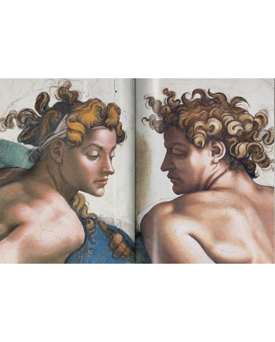 Michelangelo. The Complete Works. Paintings, Sculptures, Architecture - 3