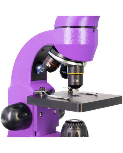 Микроскоп Levenhuk - Rainbow 50L, 40–800x, Amethyst - 6