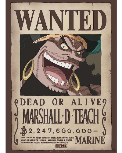 Мини плакат GB eye Animation: One Piece - Blackbeard Wanted Poster - 1