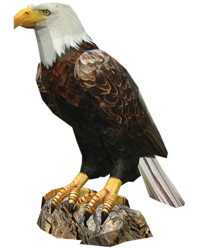 Модел за сглобяване от хартия - Белоглав орел, 41 х 37 cm - 1
