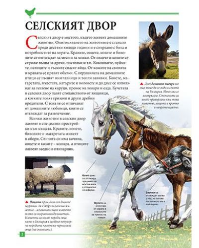 Моята първа книга за животните в България - 2