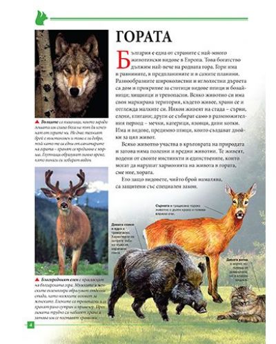 Моята първа книга за животните в България - 4