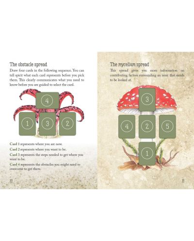 Mushroom Spirit Oracle (36 Cards and 112-Page Guidebook) - 4