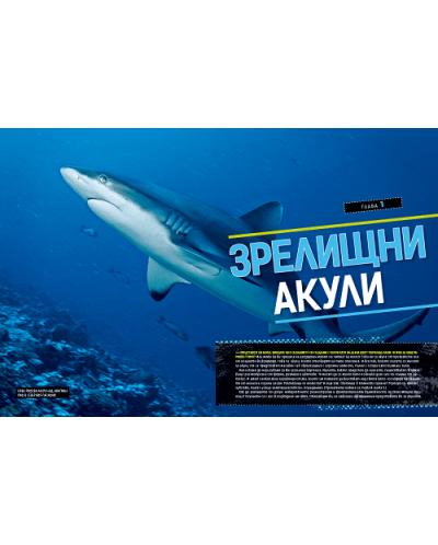 National Geographic Kids: Невероятна книга за акулите - 2