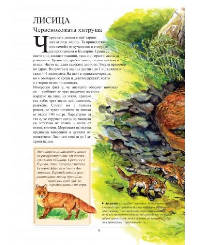 Най-известните животни в България и по света (Зелена корица) - 2