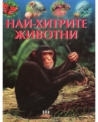 Най-хитрите животни
