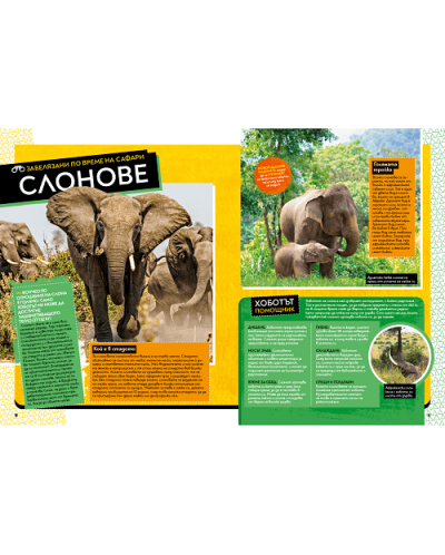 National Geographic Kids: Невероятна книга за африканските животни - 3