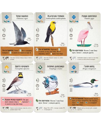 Настолна игра Криле - Семейна - 6