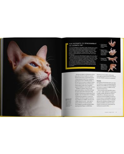 National Geographic: Тайният живот на котките (Колекционерско издание) - 3