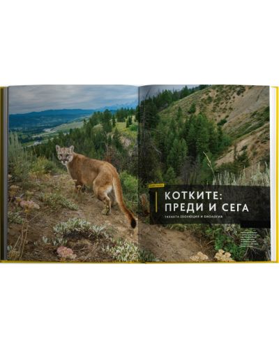 National Geographic: Тайният живот на котките (Колекционерско издание) - 2