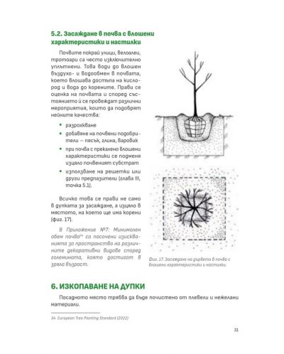 Наръчник за засаждане, пресаждане, грижи и резитби на декоративни дървета в населените места - 5