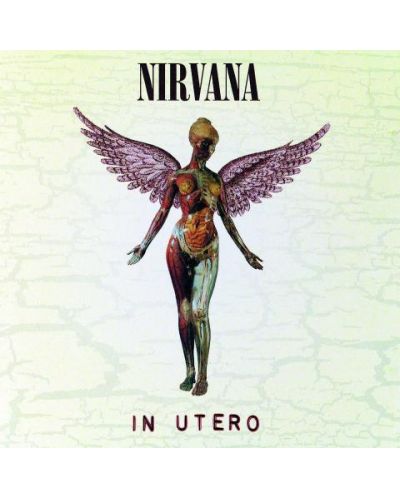 Nirvana - In Utero (Blu-ray)