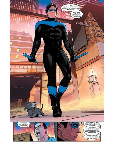 Nightwing, Vol.1: Leaping into the Light - 3