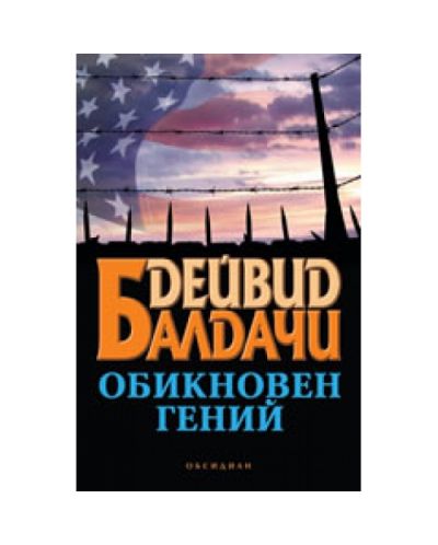 Обикновен гений