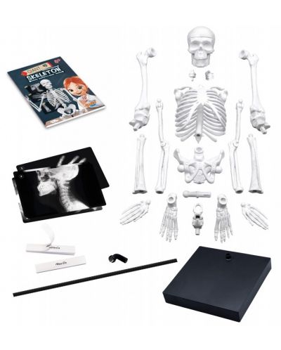 Образователен комплект Buki France - Човешки скелет, 85 cm - 2