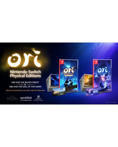 Ori and the Blind Forest Definitive Edition (Nintendo Switch) - 9