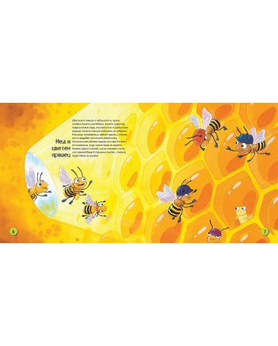 Открийте света на пчелите - 4