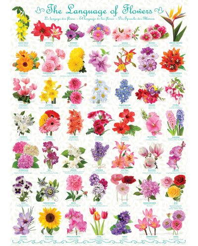 Пъзел Eurographics от 1000 части – Езикът на цветята - 2