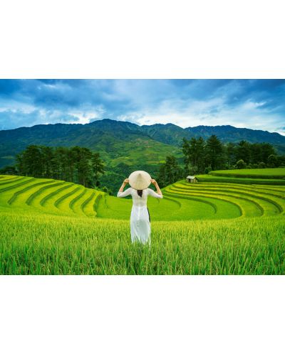 Пъзел Castorland от 1000 части - Оризови поля във Виетнам - 2