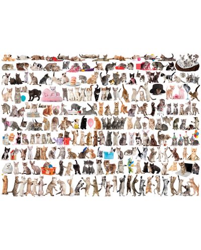 Пъзел Eurographics от 1000 части – Светът на котките - 2