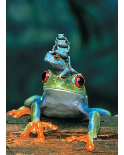 Пъзел Eurographics от 1000 части – Червеноока дървесна жаба - 2