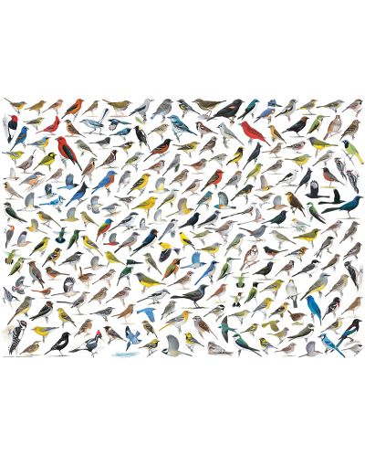 Пъзел Eurographics от 1000 части – Колаж на птици - 2