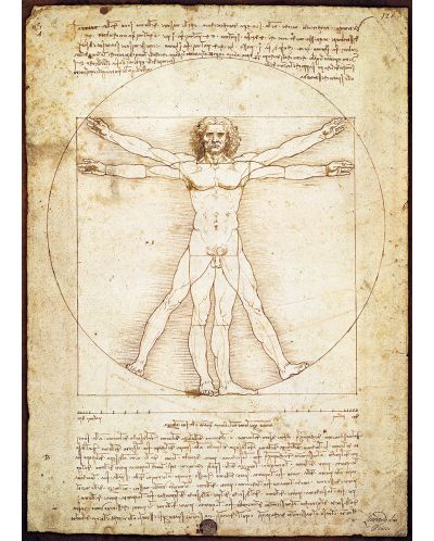 Пъзел Eurographics от 1000 части –  Витрувиански човек, Леонардо да Винчи - 2