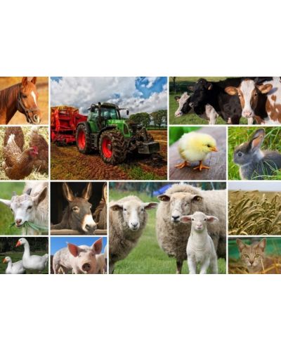 Пъзел Grafika от 1500 части - Селскостопански животни - 2