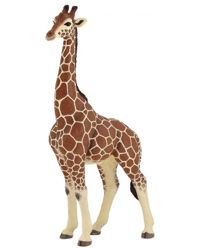 Фигурка Papo Wild Animal Kingdom – Мъжки жираф - 1