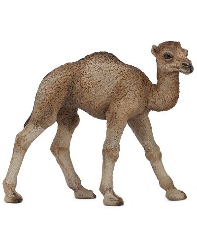 Фигурка Papo Wild Animal Kingdom – Малка едногърба камила - 1